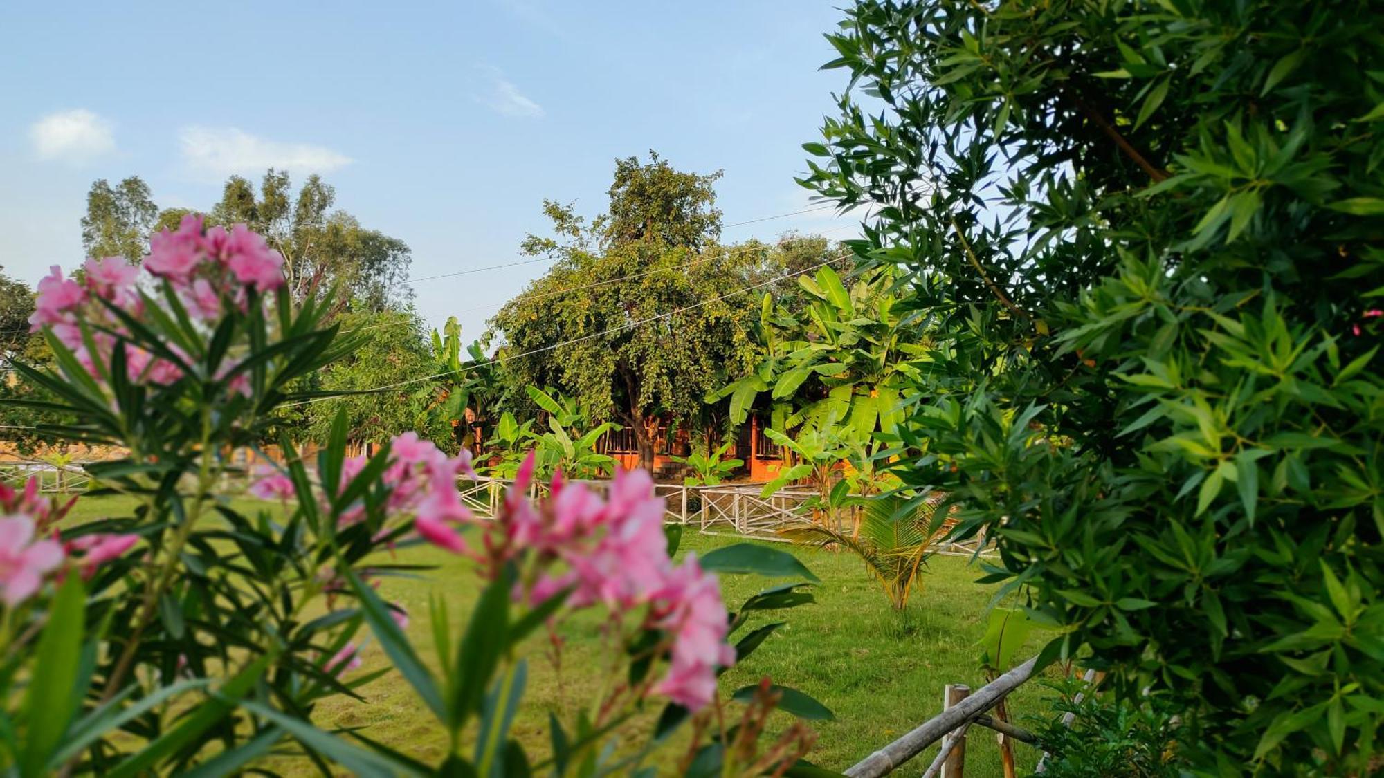 Waterfall Guesthouse Hampi Exterior photo